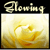 glowing's avatar