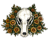 gnarly-bones's avatar