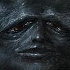 GnomeWoods's avatar