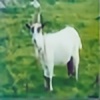 goat-lord's avatar