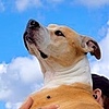 GodOfDisorder's avatar