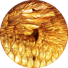 gojuu-art's avatar