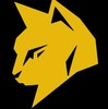 GoldCat333's avatar