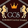 GoldenCastleGCS's avatar