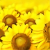 GoldenSunflowers's avatar