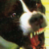 googlemeister's avatar