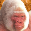 Gorillapeking92's avatar