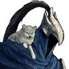 GraveLLord's avatar
