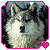 Graystripe-rox's avatar