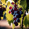 Great-Grapist's avatar