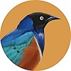 GrimStarling's avatar