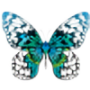 GrowingButterfly's avatar