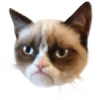 grumpy-cat-plzz's avatar