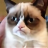 grumpy-catplz's avatar