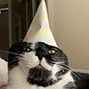 Grumpypony5's avatar