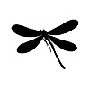 GuillaumeGiom's avatar