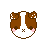 Guinea-Pigs-R-DAW822's avatar
