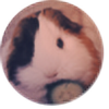 Guineapigrage's avatar