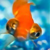 Gullfisk37's avatar