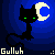 Gulluh's avatar