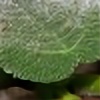 Gympie-Plants's avatar