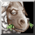 Gyrosphinx's avatar