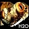 h2o-biriba's avatar