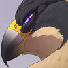 H-Falcon's avatar