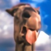 hackamore's avatar