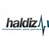 haldizweb's avatar