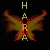 halfangelrisesagain's avatar