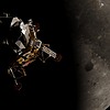 HalfTitanium's avatar
