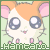 Hamtaro-Club's avatar