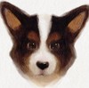HansWildThangArt's avatar