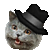 happycat-plz's avatar