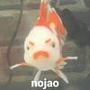 HappyEnchiladas-Neko's avatar