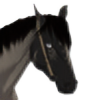 HARPG-Stock's avatar