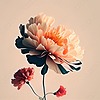 harshgazette's avatar