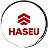 Haseu's avatar