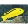 hattielemonfish's avatar