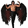 haukkeiv's avatar