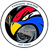 hawk2495's avatar