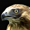 hawkplz's avatar