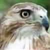 hawkslayer12's avatar