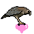 Hawkvirgin's avatar