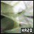 Hazo's avatar