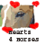 Hearts-for-Horses's avatar