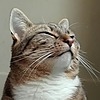 Heerenberg's avatar