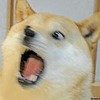 Hehedoge's avatar