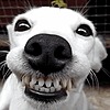 HereToLookAtCoolArt's avatar